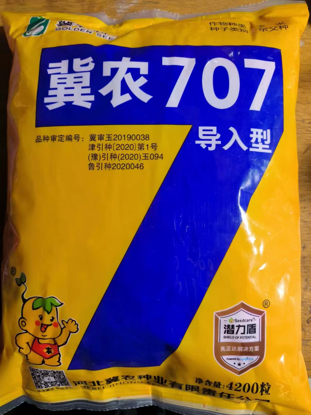 冀農707